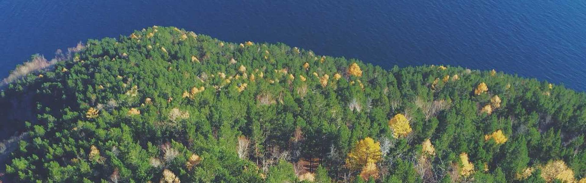 A person writing in a travel journal with a cup of mint tea.