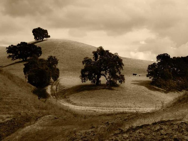 9-Day Northern Morocco & Imperial Cities from Casablanca