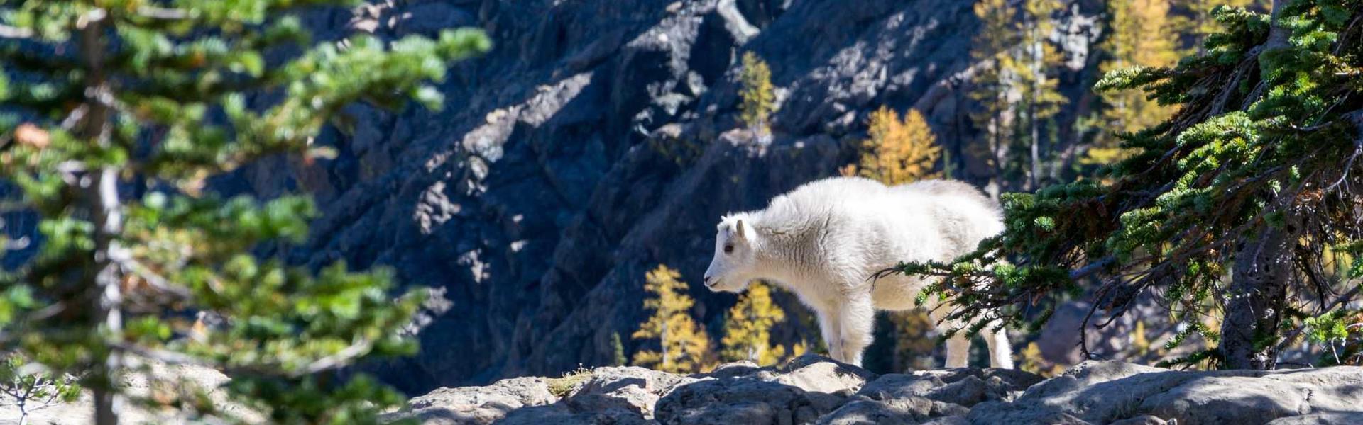 The port and city of Tangier, Morocco